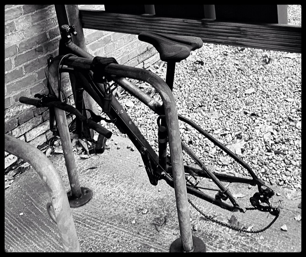 Derelict Bike